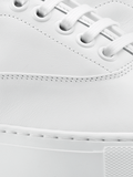 Triple White